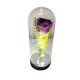 Wunderschöne kryogene LED-Leuchtung mit Haube, lila