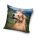 Dog pillow cover 40x40 cm