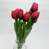 Unten eine schwarze rote Tulpe