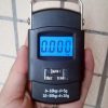 Portable hanging digital scale up to 50 kg