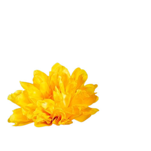 Gelbe Chrysantheme 13 cm
