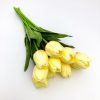 Yellowish cream tulip 1 pc