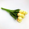 Gelblich-cremefarbene Tulpe 1 Stck