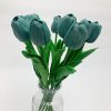 Ciemny miętowy tulipa