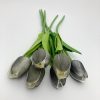 Gray tulip 1 pc