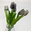 Szary tulipan 1 szt