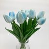 Hellblaue Tulpe mit Blütenblättern