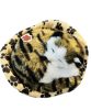 Sleeping plush cat - meows at the push of a button