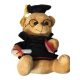 Graduation teddy bear, 22 cm