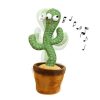 Singing and dancing cactus - repeats what you say