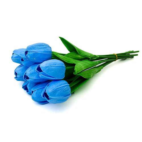 Blaue Tulpe