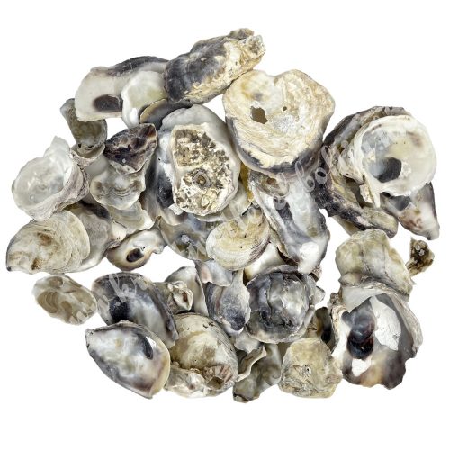 Oyster shells, 100 gr/package