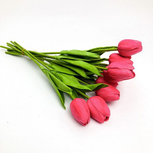 Ciemnoróżowy tulipan