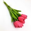 Dark pink tulips