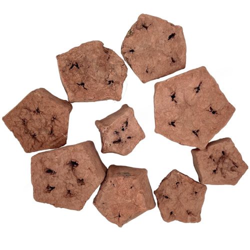 Trockendekoration, Mahagonischeibe, Terrakotta, 20 g/Verpackung