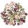 Dry decoration, pink-mauve-pale green, 70 gr/package