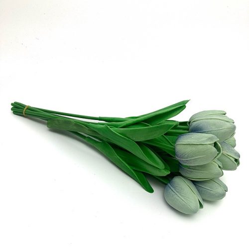 jasny miętowy tulipan