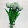 világos menta tulipán